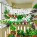 Hortinha no apê: como montar a sua, tipos de hortas e vantagens de ter temperos fresquinhos em casa