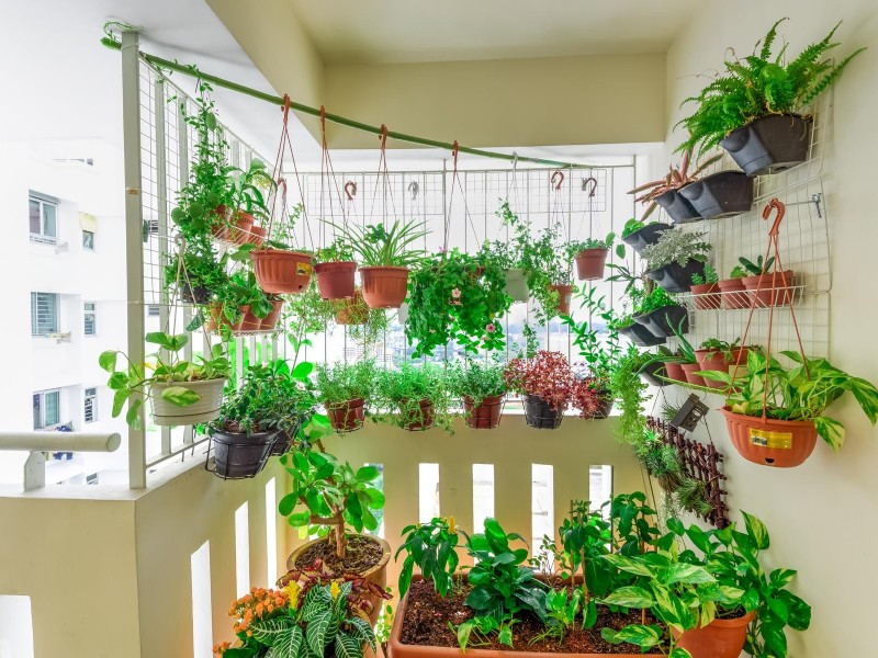 Hortinha no apê: como montar a sua, tipos de hortas e vantagens de ter temperos fresquinhos em casa